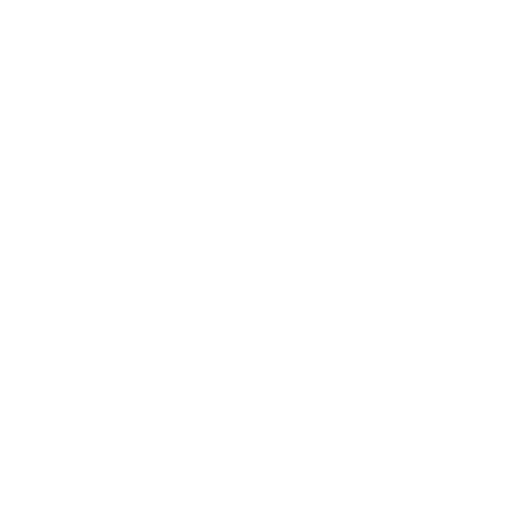Good Fortune Silver