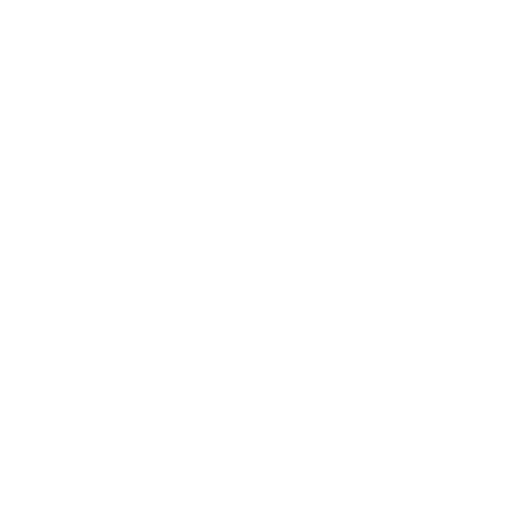 Good Fortune Silver