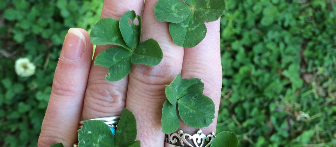 4 leaf clover